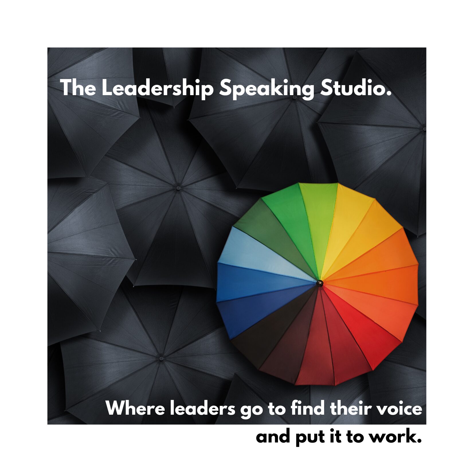 The Leadership Speaking Studio